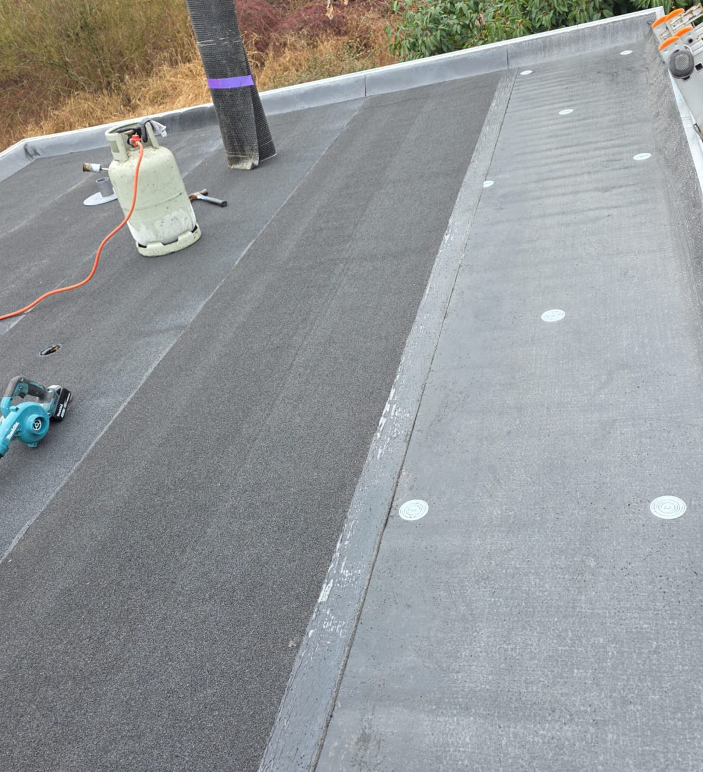 Job Link_0000_WhatsApp Image 2026-02-20 at 14.23.38 (4)