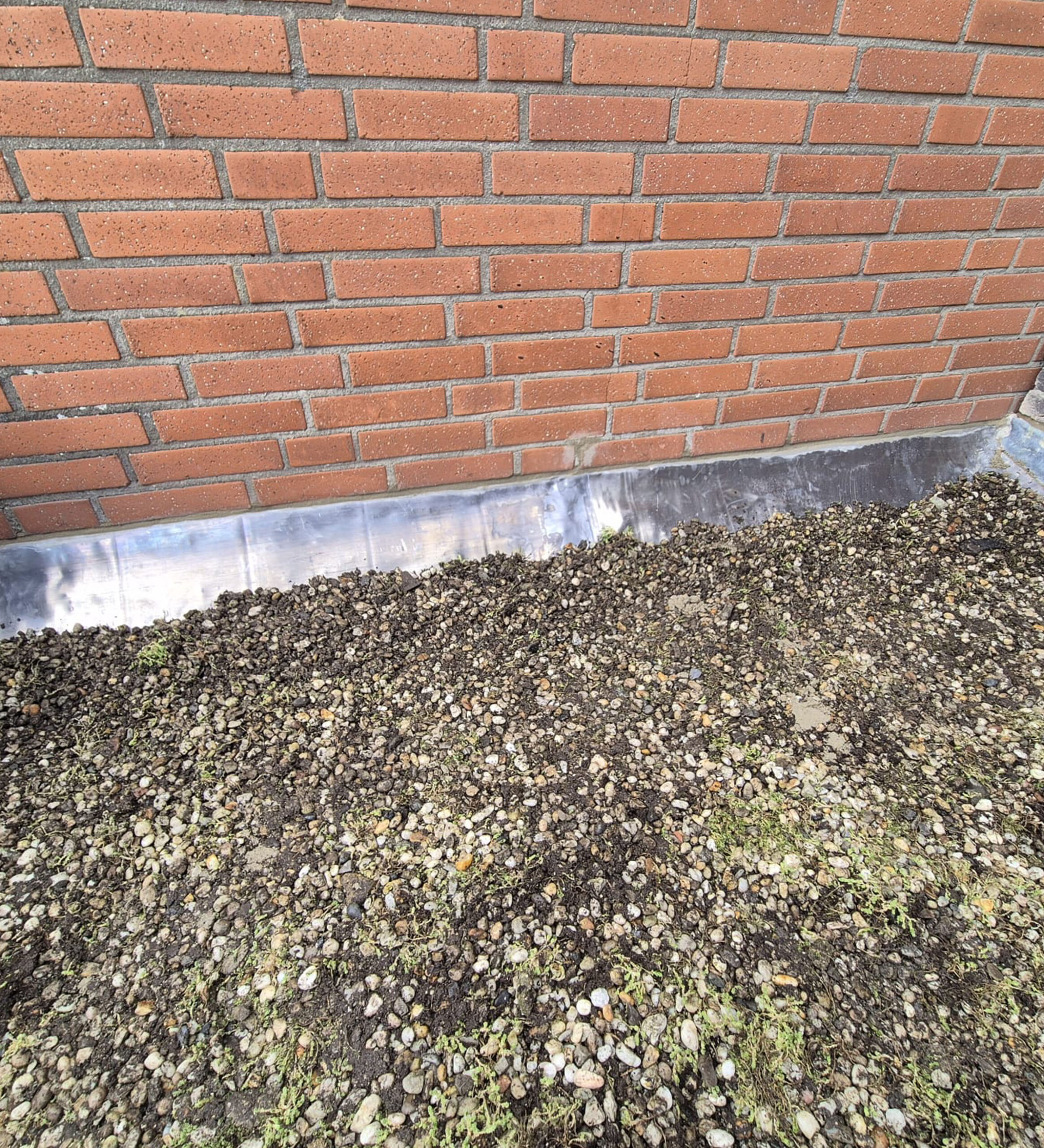 Job Link_0004_WhatsApp Image 2026-02-20 at 14.23.40