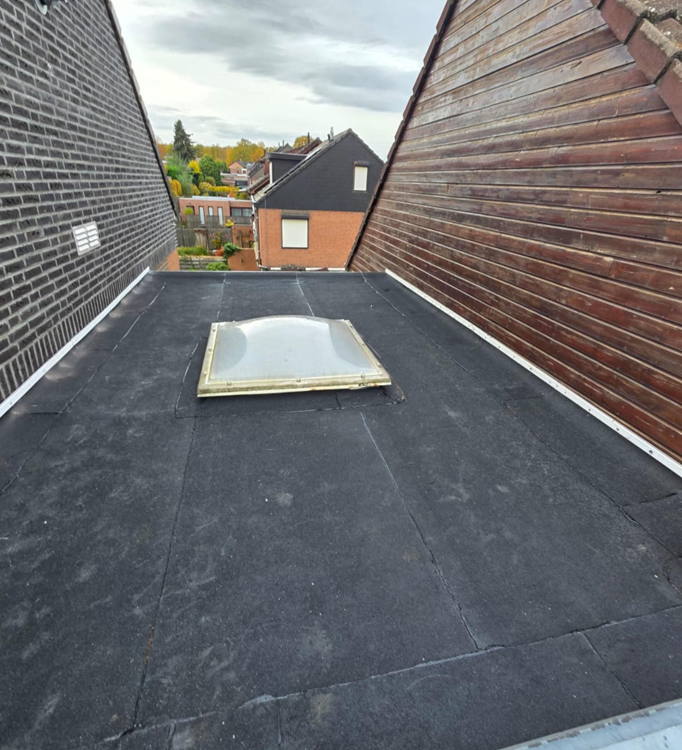 Job Link_0007_WhatsApp Image 2026-02-20 at 14.23.39 (8)